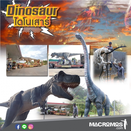 Info Dino 02
